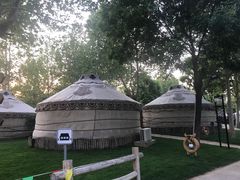 -九十九顶毡房(阜石路店)