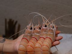 -Minase水濑·日料放题(外滩店)
