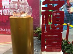 游乐设施-中央广播电视塔