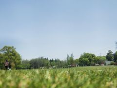 -昆山城市生态森林公园