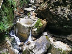 -鹿院坪生态旅游景区