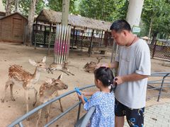 -北戴河集发农业梦想王国