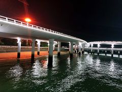 -演武大桥观景平台