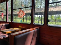 -合肥滨湖国家森林公园