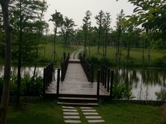 -上海长兴岛郊野公园