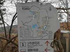 -元谋浪巴铺土林景区