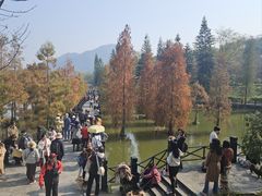 -田野绿世界