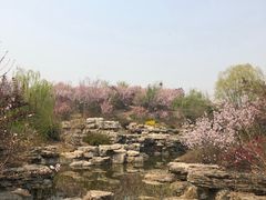 -石家庄市植物园