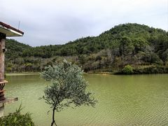 -广州白江湖森林公园