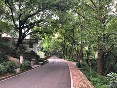 -北极阁公园