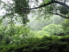 -汉拿树木园
