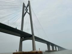 -招商蛇口邮轮母港(观光客运)