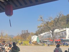 -千年银杏谷文化旅游区