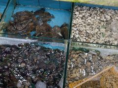 -考记泥焗鸡农庄·海鲜(北洛秘境店)