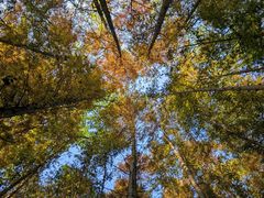 -桤木河湿地公园