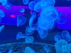 -多彩贵州城极地海洋世界