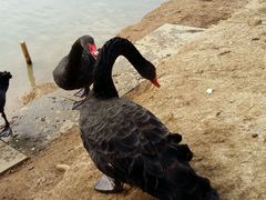 -艾溪湖湿地公园