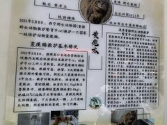 -青藏高原野生动物园