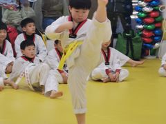 -浛道跆拳道·拳击·体适能