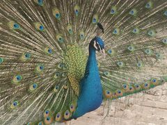 -天毓山庄·餐厅