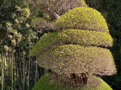 -苏州河梦清园环保主题公园