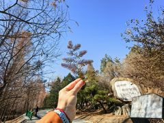 -白水寺森林公园
