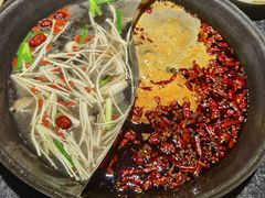-大虎重庆老火锅(正弘城店)