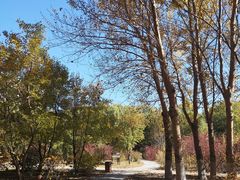 -沈阳职业技术学院