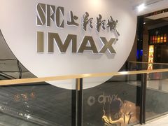 -SFC上影影城(港汇永华IMAX激光店)