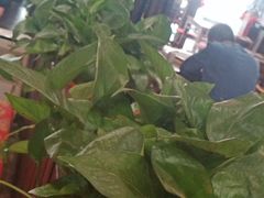 -陈府大宅门成都火锅·手切鲜肉(太原街店)