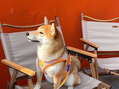 -Catch Bagel(芳草地店)