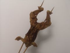 -型男美蛙烤牛蛙(南长街店)