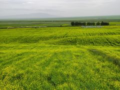 -扁都口生态休闲旅游区