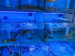 -有藕有鱼·湖北菜(唐家墩店)