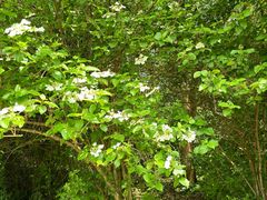 -南山风景名胜区