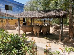 -西安秦岭野生动物园