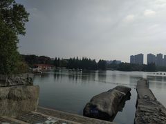 -青枫公园
