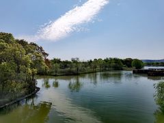 -苏州太湖国家湿地公园