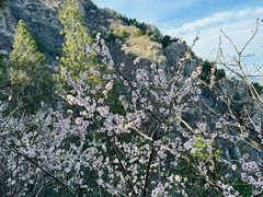 -鹫峰国家森林公园