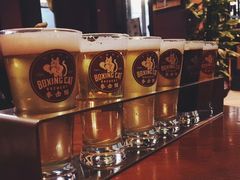 -Boxing Cat Brewery拳击猫精酿啤酒馆(永福店)