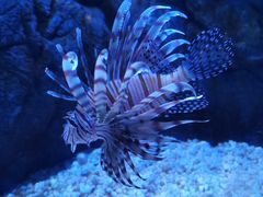 -成都浩海立方海洋公园