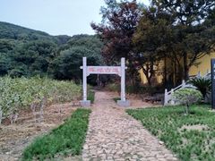 -龙寺生态园