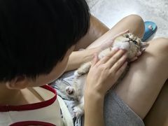 -中农国际动物医院24小时·猫科·骨科·急重症中心