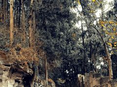 -金堂县云顶石城风景区