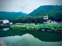 -荷塘味道(水长城店)