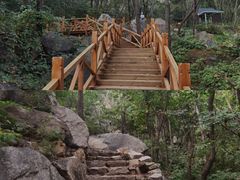 -大岭沟猕猴桃谷风景区