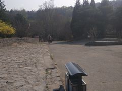 -白水寺森林公园