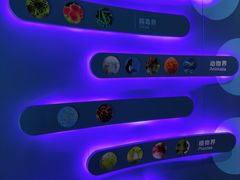 -青岛海底世界-水族馆