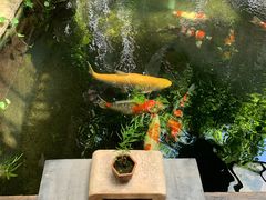 -The Flowers Coffee(南山店)