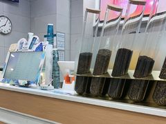 -雾与山茶(大禹城店)